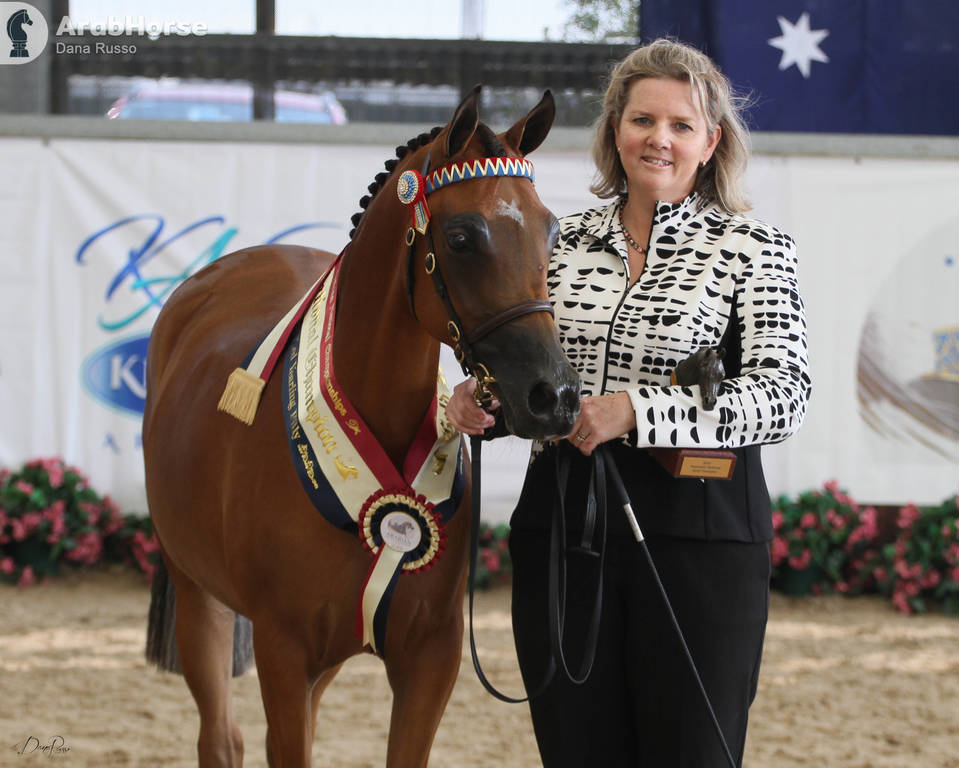 AUSTRALIAN ARABIAN NATIONAL CHAMPIONSHIPS - 2019 - HIGHLIGHTS