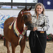 AUSTRALIAN ARABIAN NATIONAL CHAMPIONSHIPS - 2019 - HIGHLIGHTS