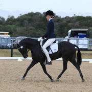 AUSTRALIAN ARABIAN NATIONAL CHAMPIONSHIPS - 2019 - HIGHLIGHTS