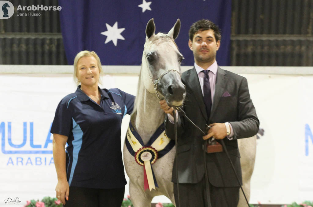 AUSTRALIAN ARABIAN NATIONAL CHAMPIONSHIPS - 2019 - HIGHLIGHTS