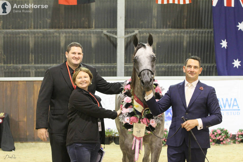 AUSTRALIAN ARABIAN NATIONAL CHAMPIONSHIPS - 2019 - HIGHLIGHTS