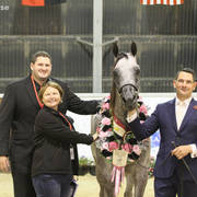 AUSTRALIAN ARABIAN NATIONAL CHAMPIONSHIPS - 2019 - HIGHLIGHTS