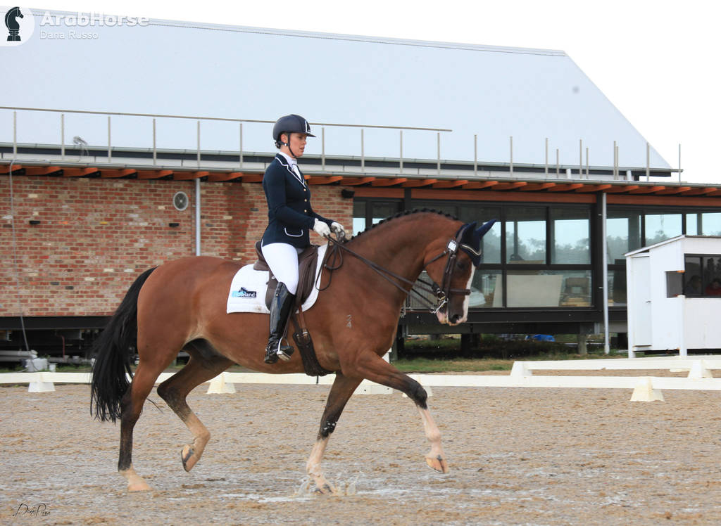 AUSTRALIAN ARABIAN NATIONAL CHAMPIONSHIPS - 2019 - HIGHLIGHTS