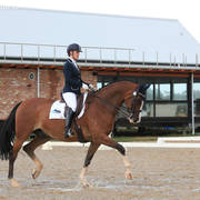 AUSTRALIAN ARABIAN NATIONAL CHAMPIONSHIPS - 2019 - HIGHLIGHTS
