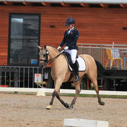 AUSTRALIAN ARABIAN NATIONAL CHAMPIONSHIPS - 2019 - HIGHLIGHTS
