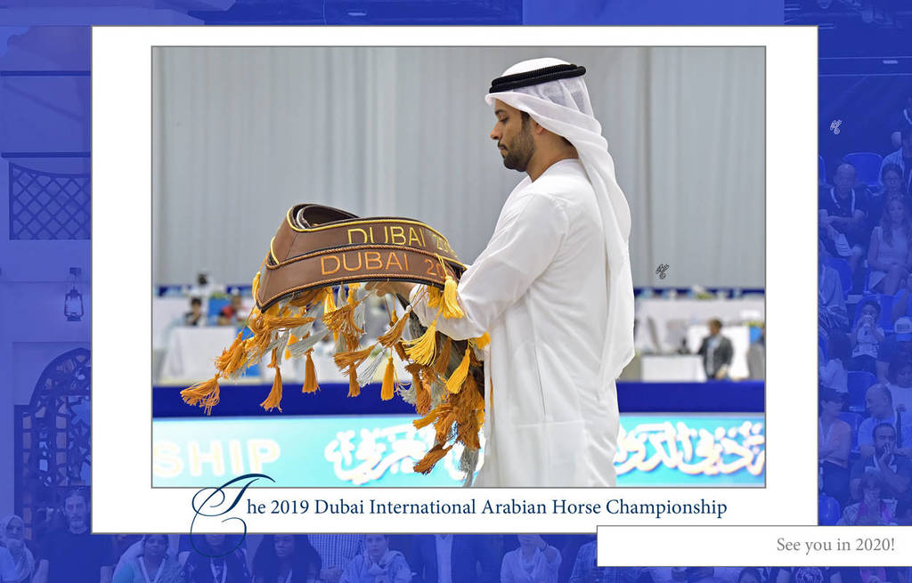 Lisa Abraham: The 2019 Dubai International Arabian Horse Championship