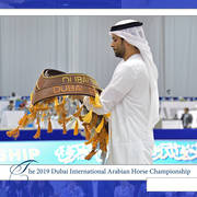 Lisa Abraham: The 2019 Dubai International Arabian Horse Championship