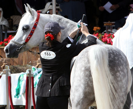 2008 The Al Khalediah Arabian Horse Show 