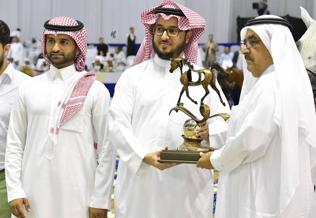 Senior Stallion Bronze Champion: Alexxanderr (Excalibur EA X AR Most Irresistible)