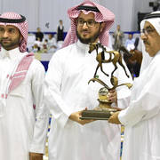 Senior Stallion Bronze Champion: Alexxanderr (Excalibur EA X AR Most Irresistible)