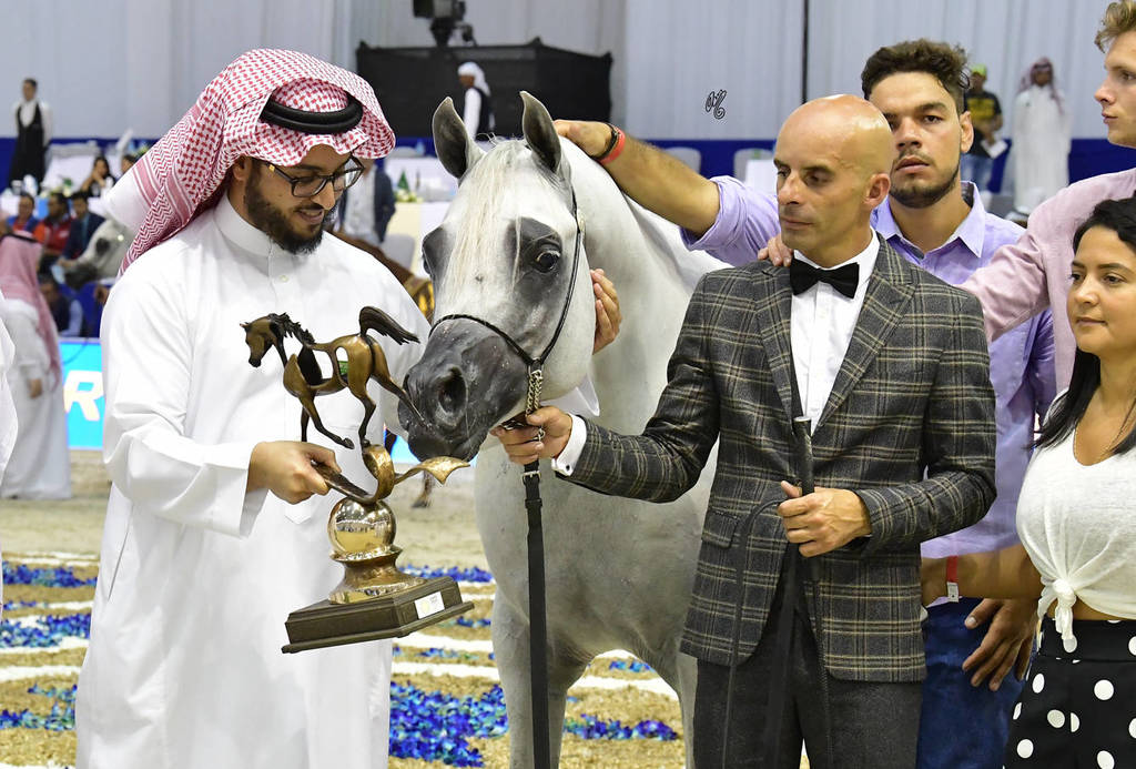 Senior Stallion Bronze Champion: Alexxanderr (Excalibur EA X AR Most Irresistible)