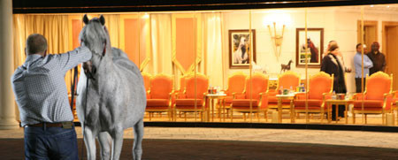 2008 The Al Khalediah Arabian Horse Show 