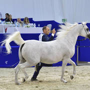 Senior Mare Gold Champion: Pepita (Ekstern X Pepesza)
