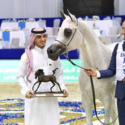 Senior Mare Gold Champion: Pepita (Ekstern X Pepesza)