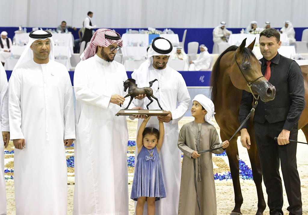 Senior Mare Silver Champion: AJ Sawari (Marwan Al Shaqab X Siberia SA)