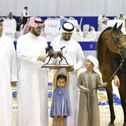 Senior Mare Silver Champion: AJ Sawari (Marwan Al Shaqab X Siberia SA)