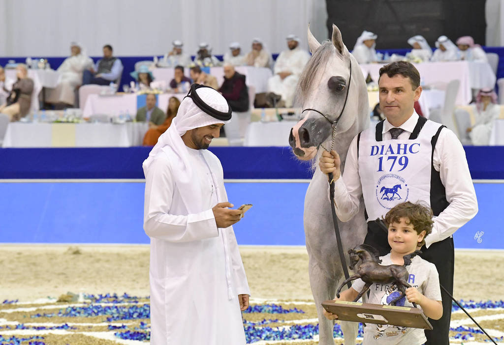 Junior Colt Gold Champion: AJ Kafu (Shanghai EA X AJ Kahayla)