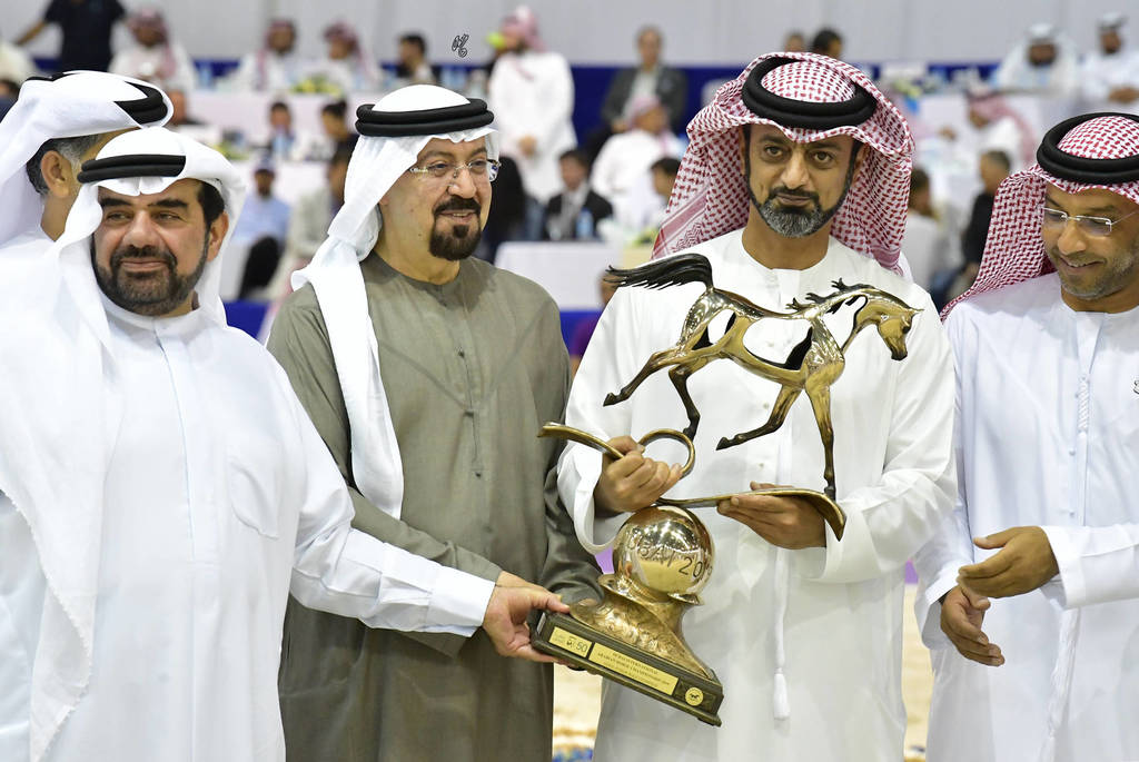 Junior Colt Gold Champion: AJ Kafu (Shanghai EA X AJ Kahayla)