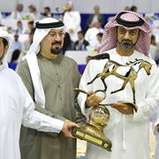 Junior Colt Gold Champion: AJ Kafu (Shanghai EA X AJ Kahayla)