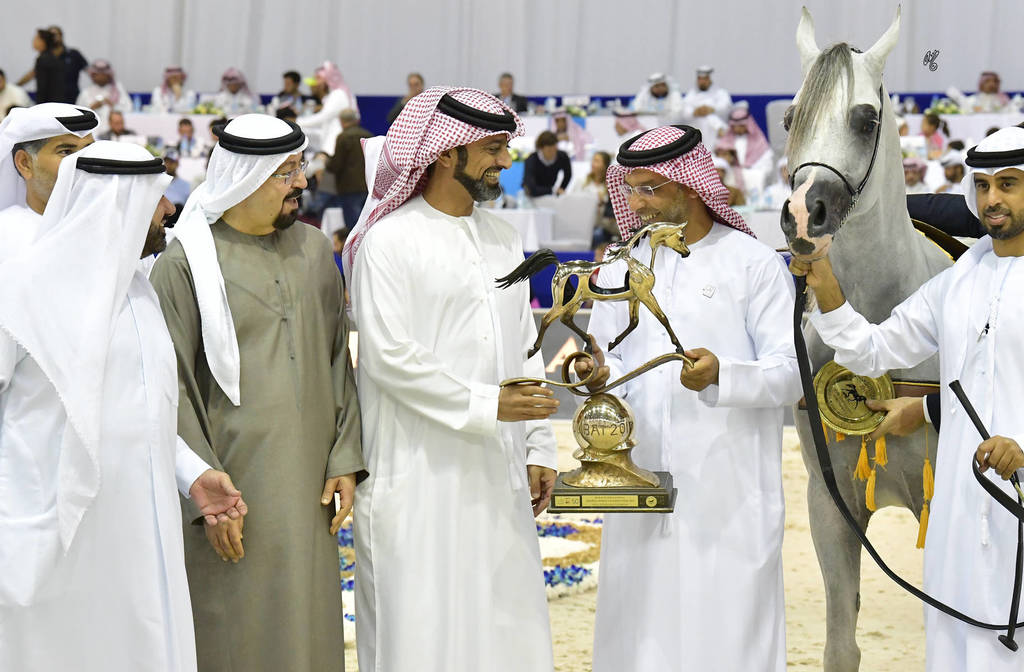 Junior Colt Gold Champion: AJ Kafu (Shanghai EA X AJ Kahayla)