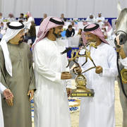 Junior Colt Gold Champion: AJ Kafu (Shanghai EA X AJ Kahayla)