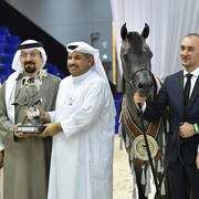 Junior Colt Silver Champion: EKS Farajj (Ibn Farid X EKS Bint Helwah)