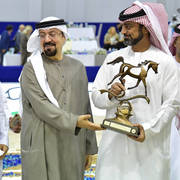 Junior Colt Bronze Champion: Admiraal (Emerald J X Haniyyah)