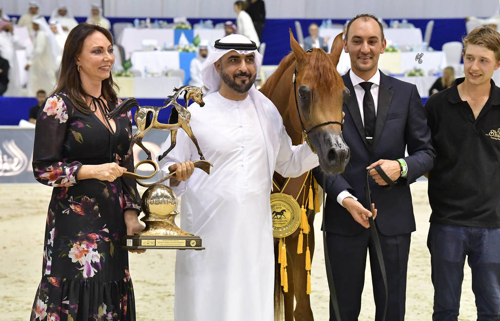 Junior Filly Gold Champion: A Vision MI (Allegiance MI X Always Valentine MI)