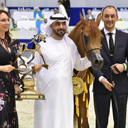 Junior Filly Gold Champion: A Vision MI (Allegiance MI X Always Valentine MI)