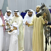 Junior Filly Silver Champion: D Shihanah (FA El Rasheem X D Shahla)
