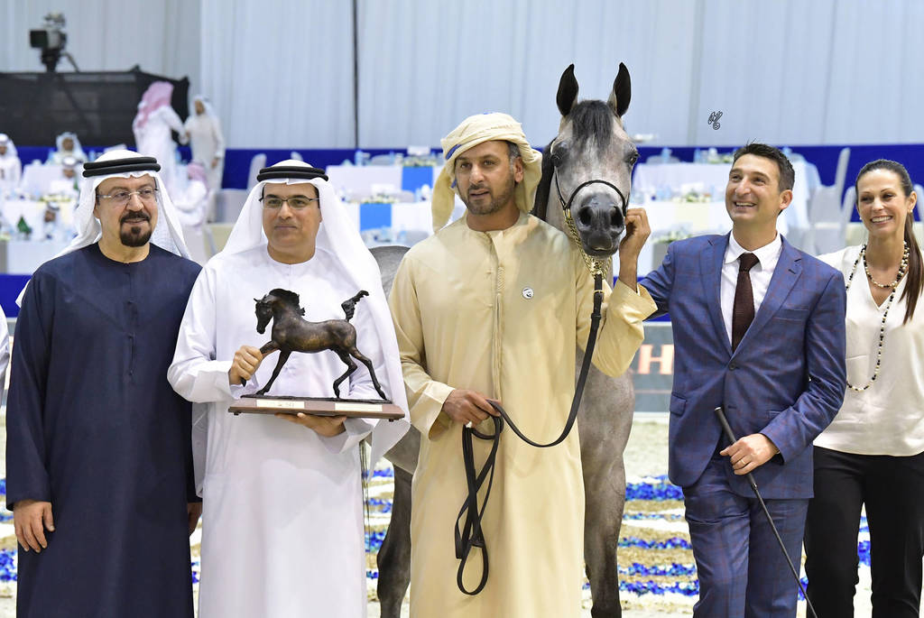 Junior Filly Silver Champion: D Shihanah (FA El Rasheem X D Shahla)