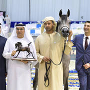 Junior Filly Silver Champion: D Shihanah (FA El Rasheem X D Shahla)
