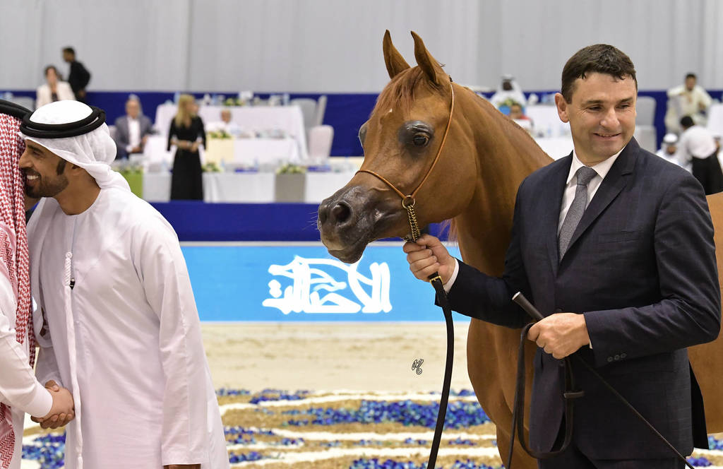 Junior Filly Bronze Champion: AJ Norah (AJ Mardan X Inspired Najla)