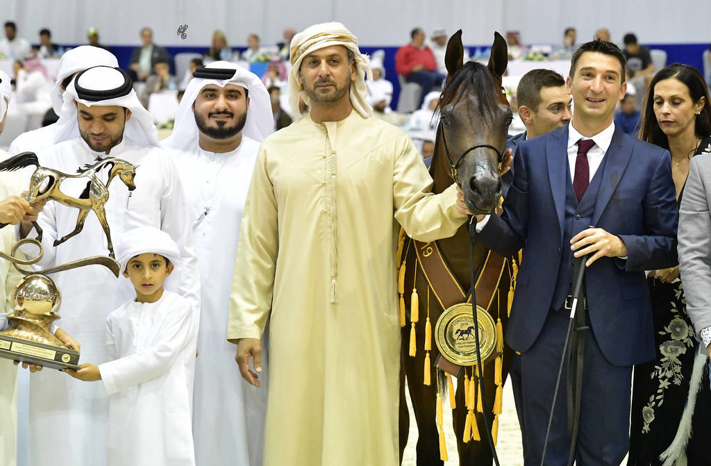 Yearling Colt Gold Champion: D Mezyan (FA El Rasheem X D Mazaia)