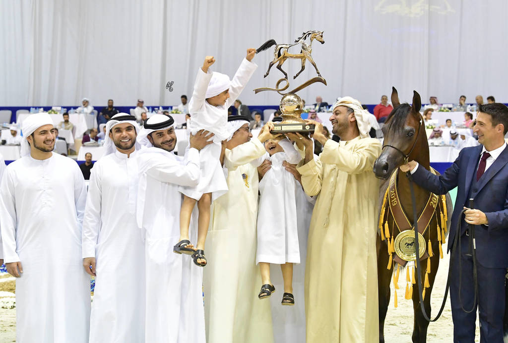 Yearling Colt Gold Champion: D Mezyan (FA El Rasheem X D Mazaia)