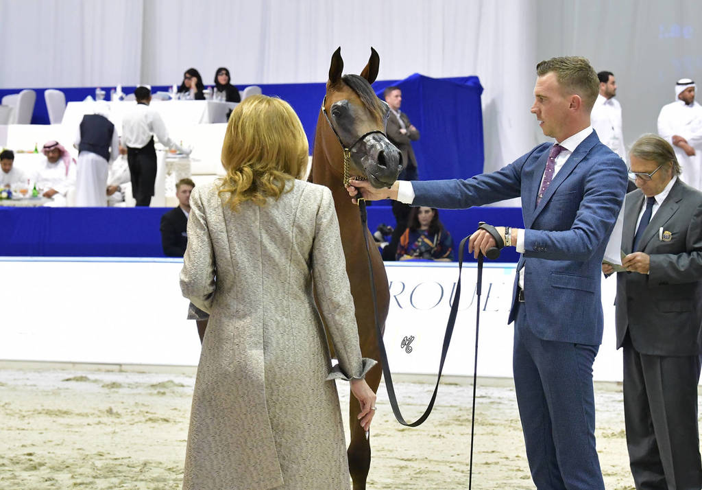 Yearling Colt Bronze Champion: Muthabahi Al Hawajer (FA El Rasheem X ZT Magrumi)