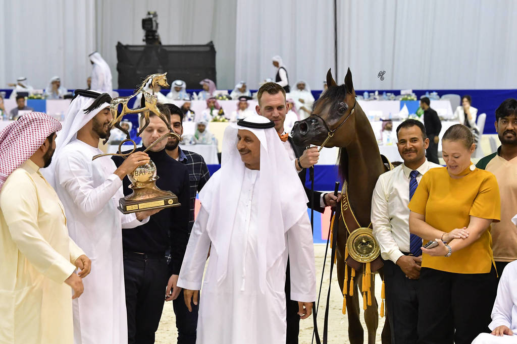 Yearling Filly Gold Champion: Maria Magdalena NWA (FA El Rasheem X Magdalina NWA)