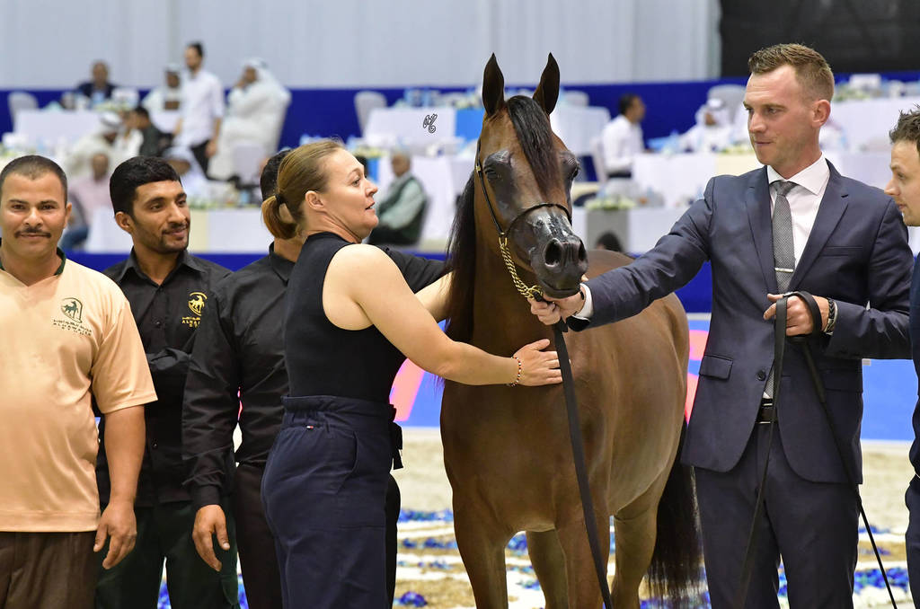 Yearling Filly Gold Champion: Maria Magdalena NWA (FA El Rasheem X Magdalina NWA)