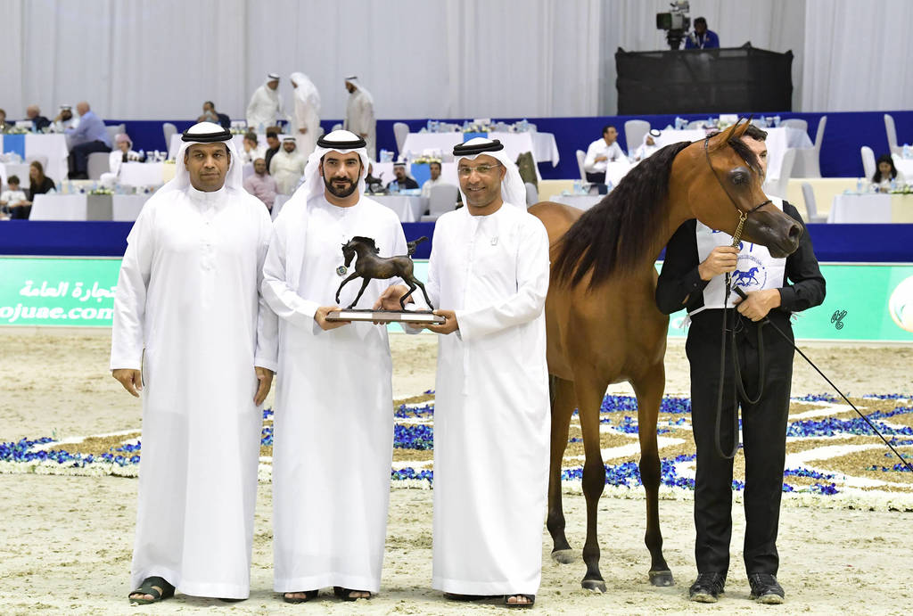 Yearling Filly Silver Champion: AJ Samara (AJ Marden X Sama AM)