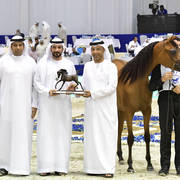 Yearling Filly Silver Champion: AJ Samara (AJ Marden X Sama AM)