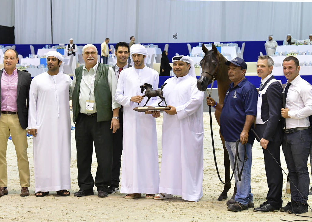 Yearling Filly Bronze Champion: Fame Donatella (Dominic M X D Crystal Moon)