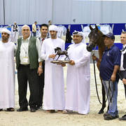 Yearling Filly Bronze Champion: Fame Donatella (Dominic M X D Crystal Moon)