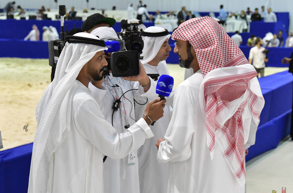 Lisa Abraham: The 2019 Dubai International Arabian Horse Championship