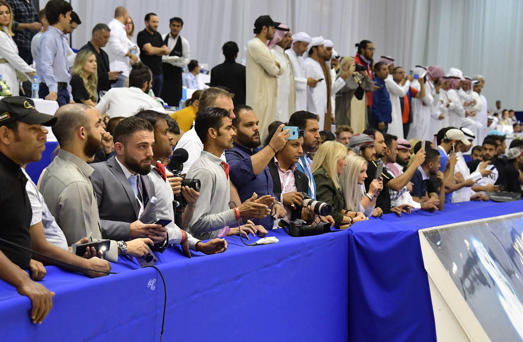 Lisa Abraham: The 2019 Dubai International Arabian Horse Championship