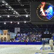 Lisa Abraham: The 2019 Dubai International Arabian Horse Championship