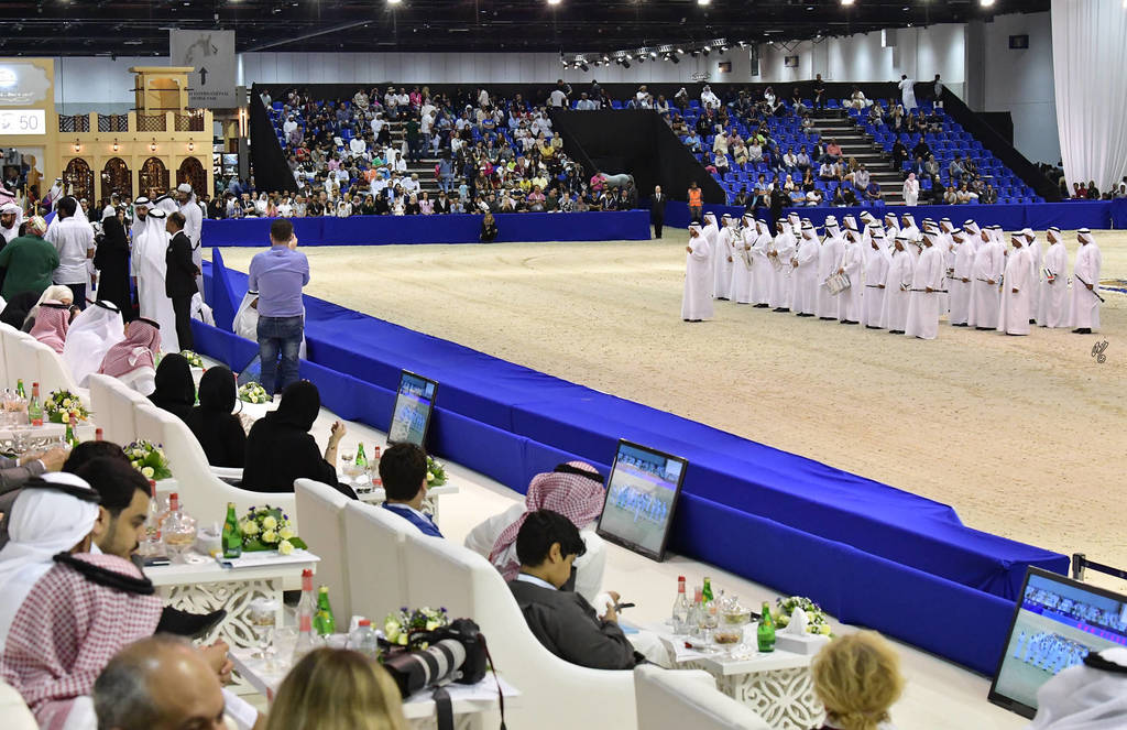 Lisa Abraham: The 2019 Dubai International Arabian Horse Championship