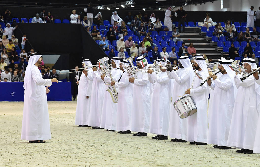Lisa Abraham: The 2019 Dubai International Arabian Horse Championship