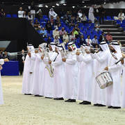 Lisa Abraham: The 2019 Dubai International Arabian Horse Championship