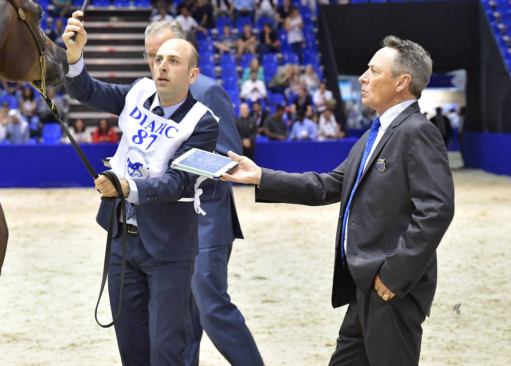 Judge Terry Holmes (USA)