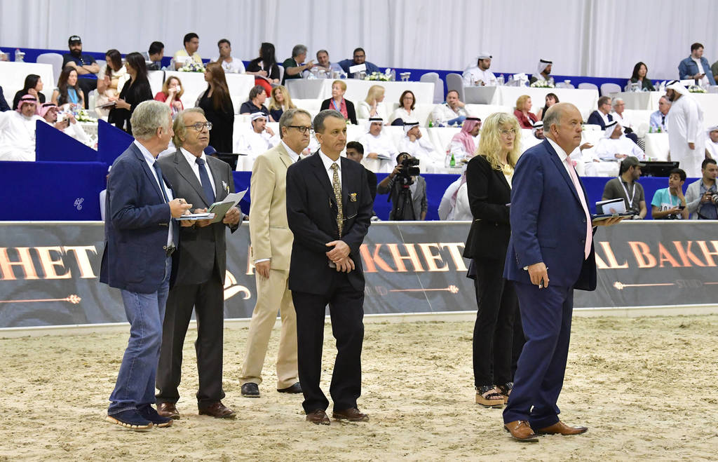 Lisa Abraham: The 2019 Dubai International Arabian Horse Championship